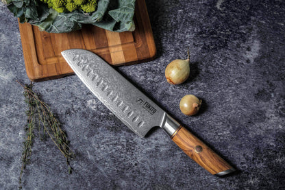 Couteau Santoku 18 cm Fukito Olive Damas 14Cr