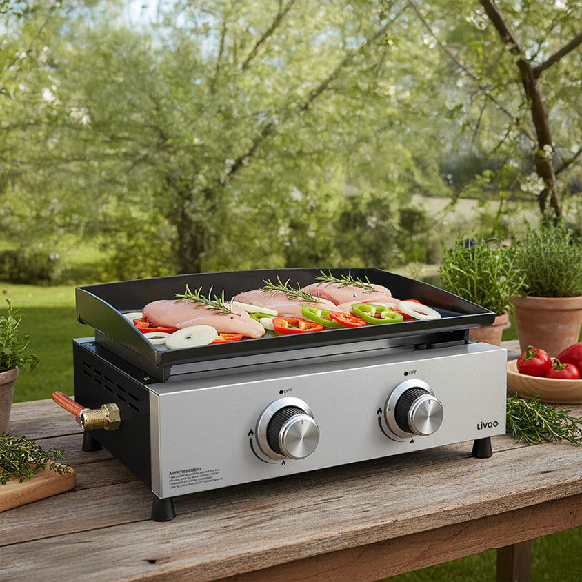 Plancha gaz 2 brûleurs Livoo