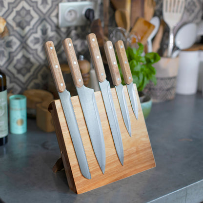 Set de 5 couteaux et support magnétique Livoo
